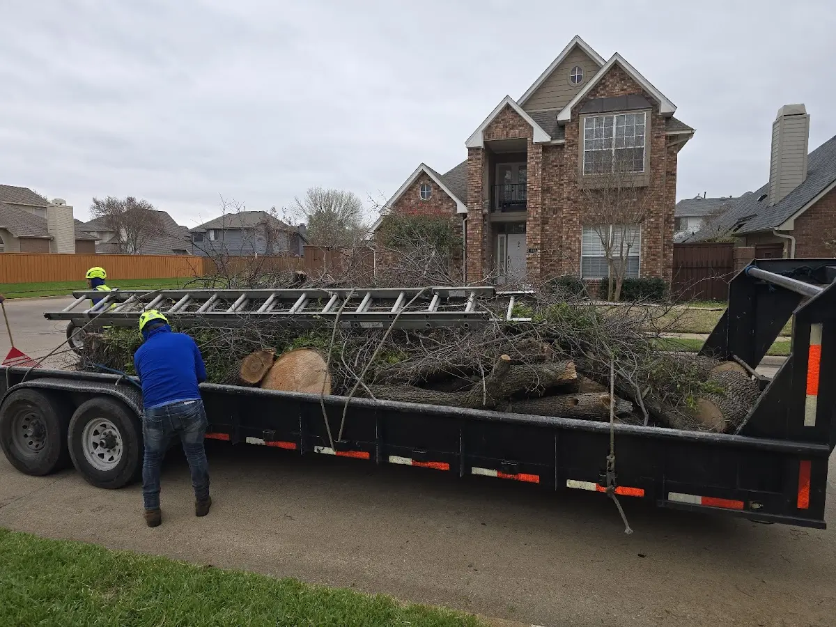 Expert Tree Fertilization with proper safety equipment in Meshoppen